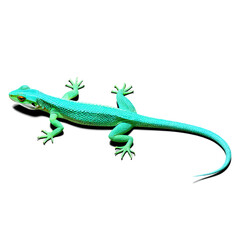 Fototapeta premium Vibrant Green Lizard - A Marvel of Reptilian Grace