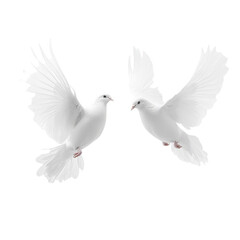 Obraz premium Two white doves gracefully flying against a soft Transparent background showcasing beauty and peace in nature, Two White Doves PNG background