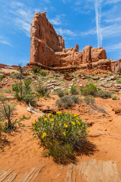 Rough mules ears, Park Avenue, Arches National Park, Utah, USA.