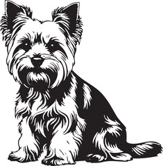 Yorkshire Terrier Black EPS Vector Outline