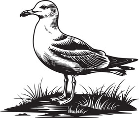 Seagull EPS Vector Outline Illustration