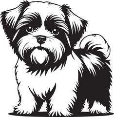 Black and White Shih Tzu Dog Vector Graphic