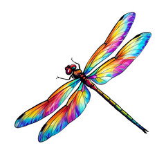 A close-up of a dragonfly on a white background 