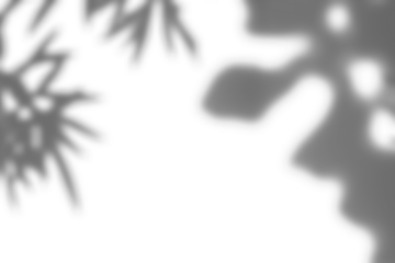 Realistic Leaf Shadow Overlay