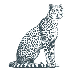 Cheetah vector
