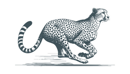 Cheetah vector