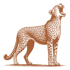 Cheetah vector