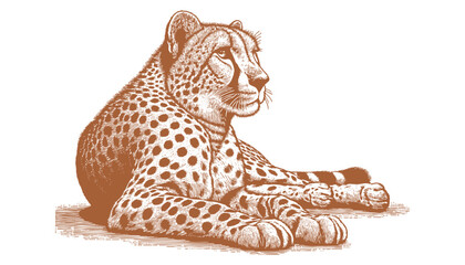 Cheetah vector © CROP MEDIA