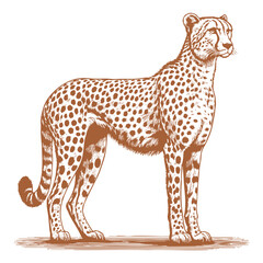 Cheetah vector