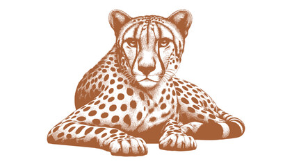 Cheetah vector © CROP MEDIA