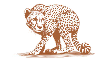 Cheetah vector