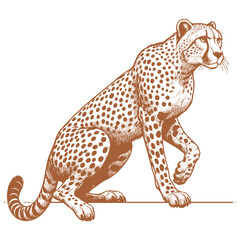 Cheetah vector