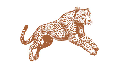Cheetah vector