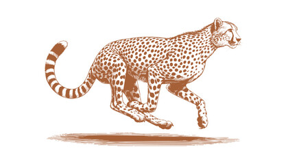Cheetah vector