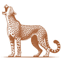 Cheetah vector