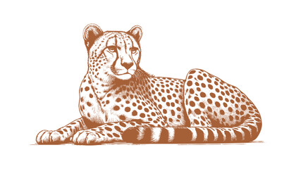 Cheetah vector © CROP MEDIA