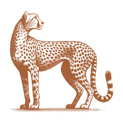 Cheetah vector