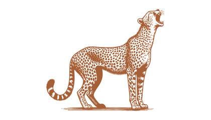 Cheetah vector