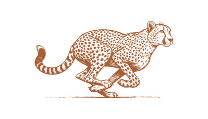 Cheetah vector