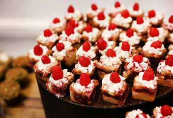 raspberry desserts