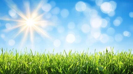 Fototapeta premium a vibrant summer landscape featuring lush green grass bathed in bright sunlight against a backdrop of clear blue sky with soft bokeh light circles evoking a sense of warmth