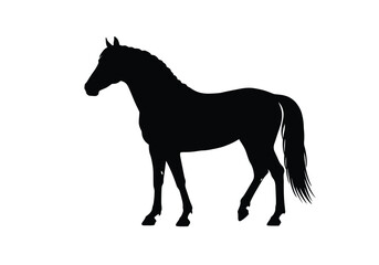 Obraz premium Silhouette of a horse. This image shows a black silhouette of an equine figure, symbolizing grace, power, and the majestic beauty of a horse. Vector clipart black illustration design.