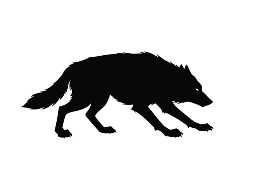 Big bad wolf silhouette. Fierce predator showcasing wild strength and primal aggression. Vector clipart black illustration design.