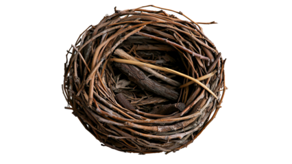 Png of A beautifully crafted bird's nest made of twigs and natural materials, symbolizing nature's artistry and resilience.