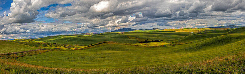 Obraz premium USA, Colfax, Washington State. Enos Road, scenic agriculture.