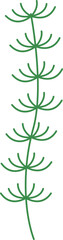 Tropical Plant Botanical Line Minimalist Element
