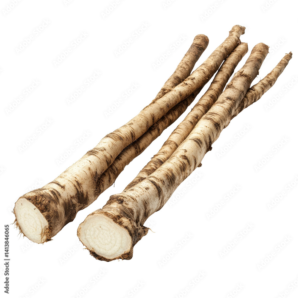 Poster burdock roots display on a white background showcasing their natural texture and shape, burdock root