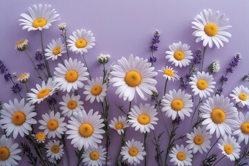 Ethereal Daisy Floral Composition on Light Lavender Background for Wedding Invitations