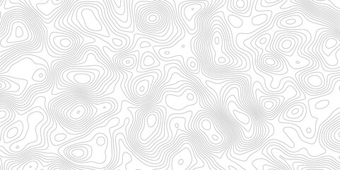 Abstract modern white and black topographic contour map wavy line, digital print terrain lines texture vector white background.