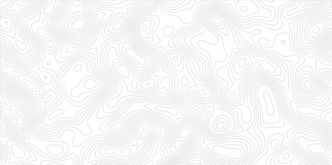Abstract modern white and black topographic contour map wavy line, digital print terrain lines texture vector white background.