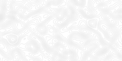 Abstract topography pattern lines sea map area space geometric strip grid line topo map technology modern design white background.	
