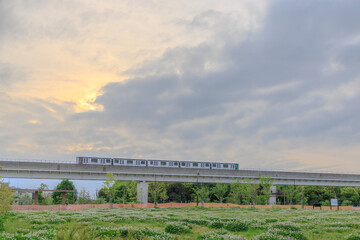 Obraz premium 舎人公園から見えた日暮里舎人ライナー