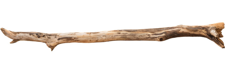 driftwood branch isolated on white background