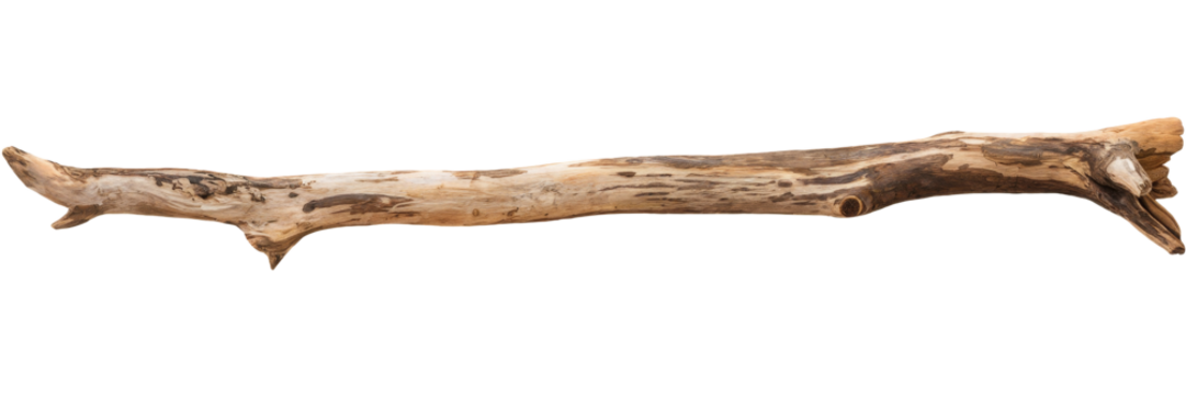 driftwood branch isolated on white background