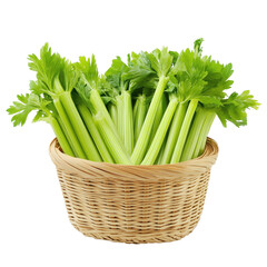 Obraz premium Fresh celery in a woven basket on a clean white background highlighting its vibrant green color and crisp texture, Celery in basket isolated on white background