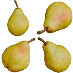 Four different angles of a 3D Pear Fruit on Alpha Background