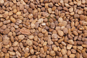 stone texture in garden