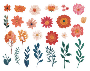 Floral and Leaf Collection