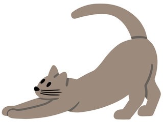 Cat Illustrations