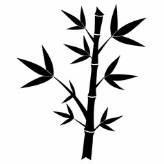 Obraz premium Bamboo Isolated Images