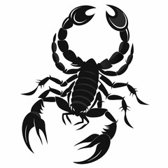 Obraz premium Scorpion Clipart Illustration