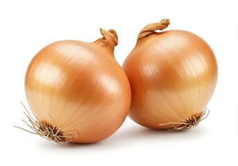 Fototapeta premium Two onions with brown skin and roots on a white background in a studio shot close up view