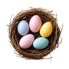 Obraz premium Bird nest with colorful eggs isolate on transparent background