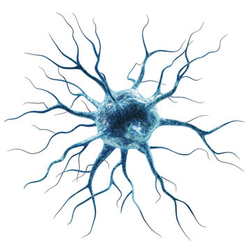 Nerve cell with intricate dendrites isolated on a white background, Isolated biology nerve cell white background