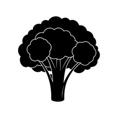 Broccoli Silhouette  vector illustration