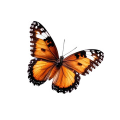 Fototapeta premium Butterfly flying isolate on transparent background